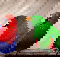 Denmark Dinosaur World - Holiday Find