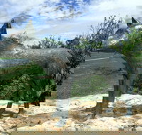 Dingo Statue - Holiday Find