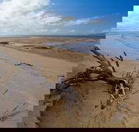 Edmund Kennedy Girramay National Park