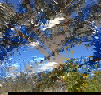 Euroa Arboretum - Holiday Find