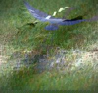 Germein Reserve - Holiday Find