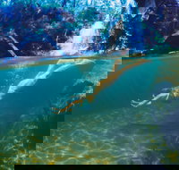 Glenreagh - Holiday Find