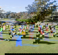 Hello Koalas Sculpture Trail - Holiday Find