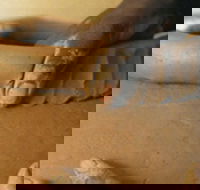 Hermannsburg Potters - Holiday Find