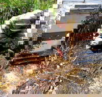 Honey Tasmania - The Beehive - Holiday Find