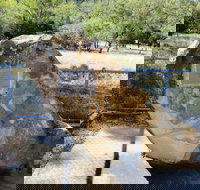 John Oxley Monument - Holiday Find