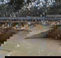 Lawson Syphon - Holiday Find