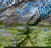 Macquarie Valley Trails - Holiday Find