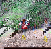 Margaret River Rails Trail - Holiday Find