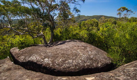 Marramarra Ridge To Smugglers Ridge Walking Track - Holiday Find 0