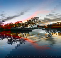 Mitchell - Holiday Find