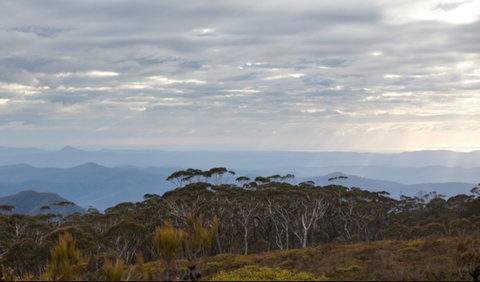 Mount Budawang Trail - Holiday Find 0
