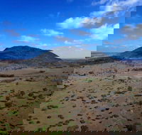 Mount Ramsay and Baralaba Loop - Holiday Find