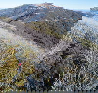 Mt Buller Bike Park - Holiday Find