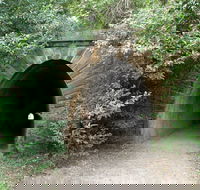 Mushroom Tunnel - Holiday Find