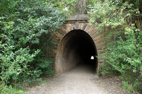 Mushroom Tunnel - Holiday Find 0