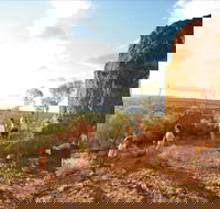 Natural Sciences Loop - Holiday Find
