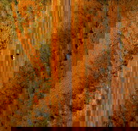 Newcastle Waters - Holiday Find