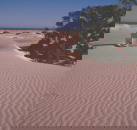 Nullarbor Plain - Holiday Find