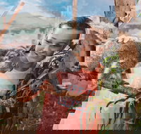 Oakvale Wildlife Park