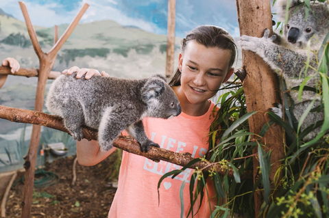Oakvale Wildlife Park - Holiday Find 0