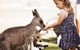 Oakvale Wildlife Park - thumb 1
