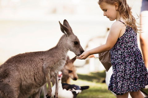 Oakvale Wildlife Park - Holiday Find 1