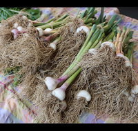 Queanbeyan Park Market - Holiday Find