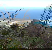 Strzelecki Peaks Great Short Walk