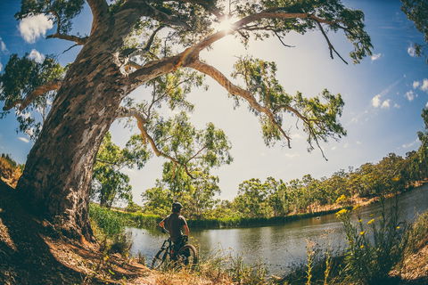 Sturt Gorge Recreation Park - Holiday Find 0