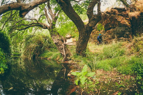 Sturt Gorge Recreation Park - Holiday Find 1