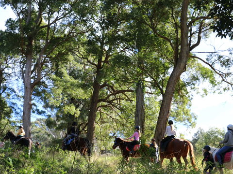 The Outlook Riding Academy - Holiday Find 0