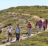 The Sole Walk at Hillocks Drive - Holiday Find