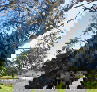 The Herbig Family Tree - Holiday Find