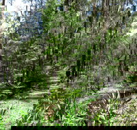 Tyers Park - Holiday Find