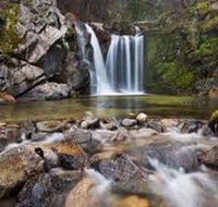 Upper Crystal Creek - Holiday Find