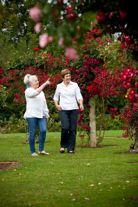 Victoria State Rose Garden At Werribee Park - Holiday Find 2