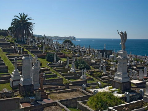 Waverley Cemetery - Holiday Find 0