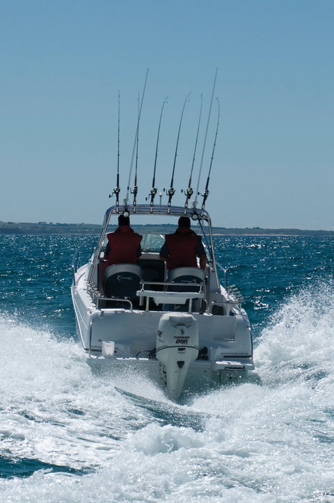 Western Port - Holiday Find 1