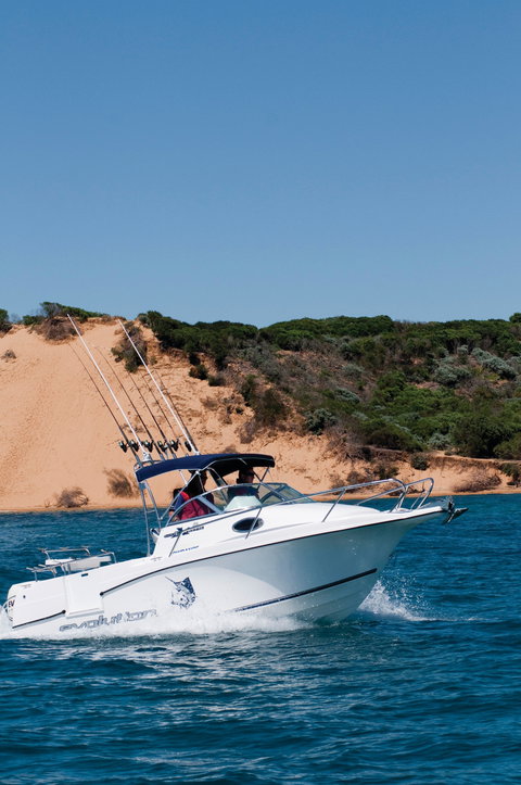 Western Port - Holiday Find 2