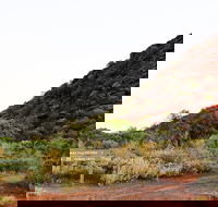 Whyalla Conservation Park - Holiday Find