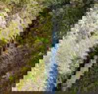 Woakwine Cutting - Holiday Find