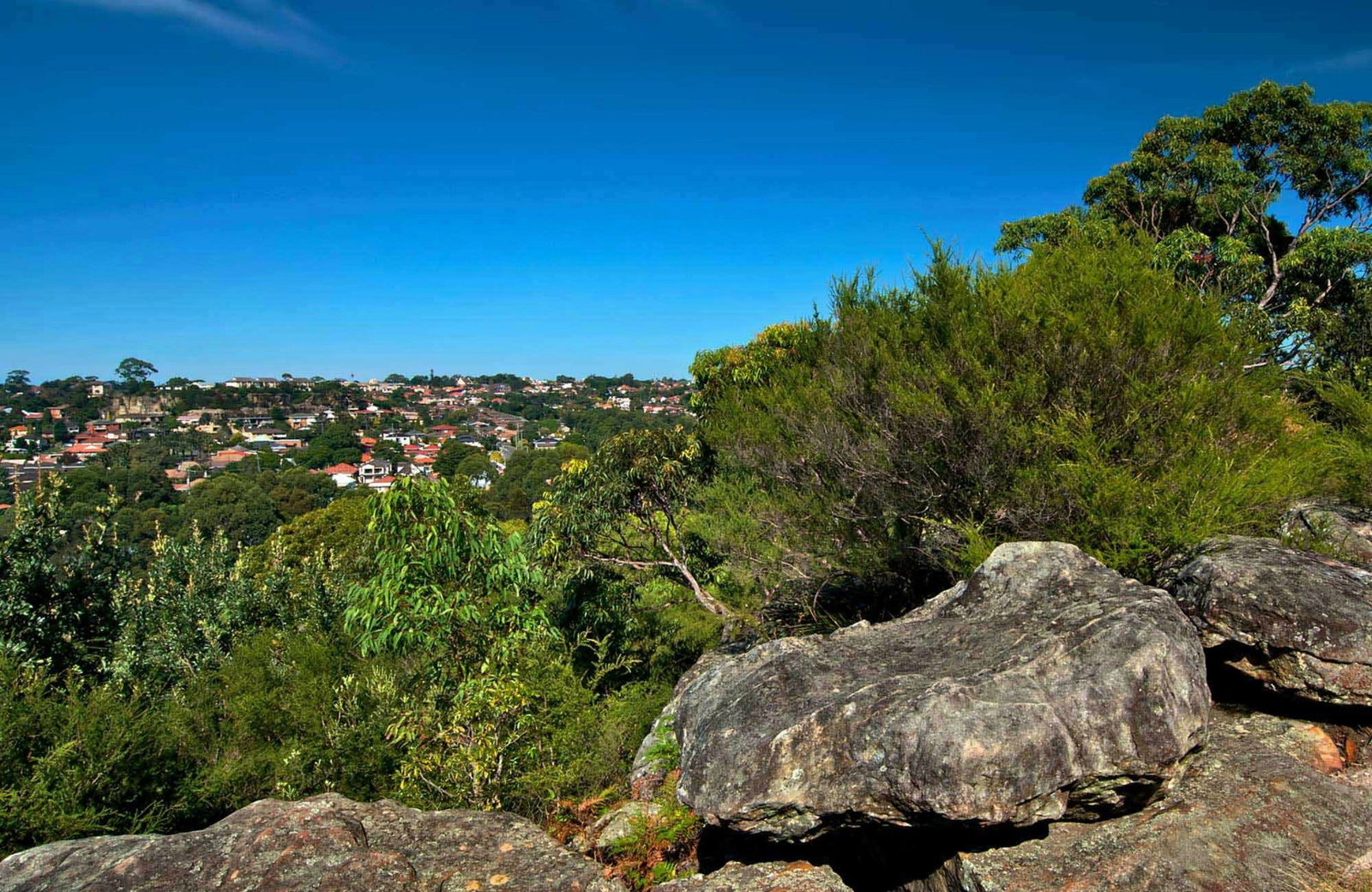 Earlwood NSW Holiday Find