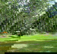 Woolgoolga Creek Picnic Area