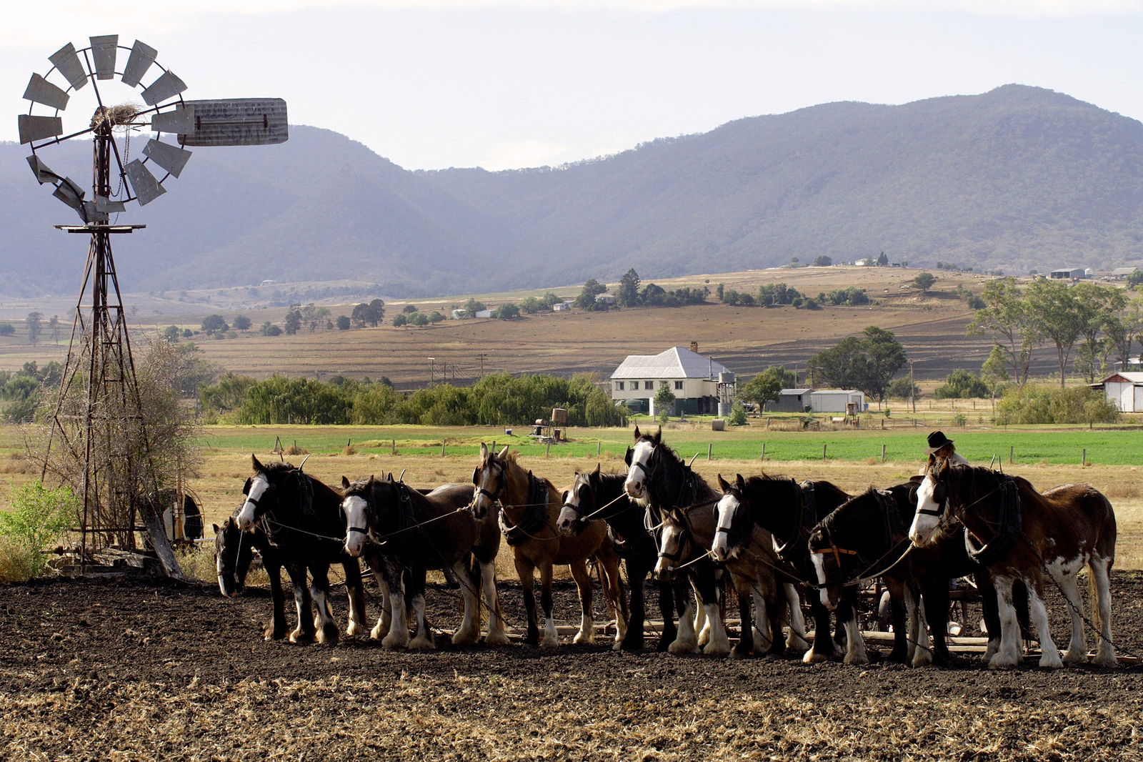 Emu Vale QLD Holiday Find