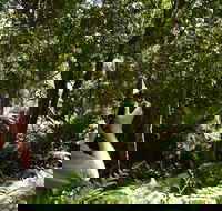 Alfred National Park