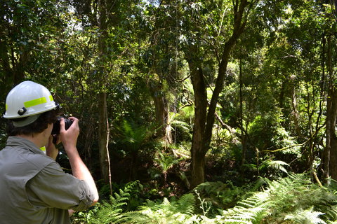 Alfred National Park - Holiday Find 0