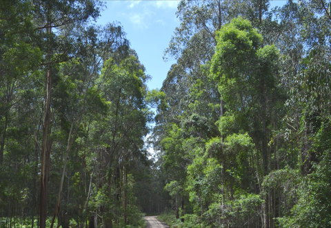 Alfred National Park - Holiday Find 1