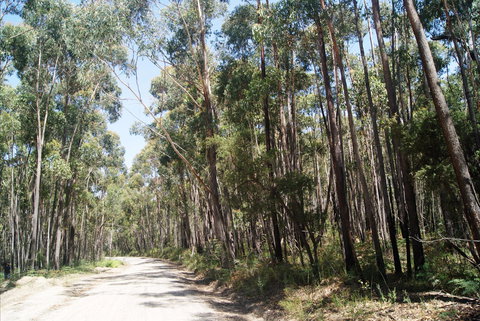 Alfred National Park - Holiday Find 2