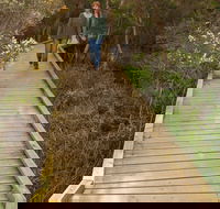 Balcombe Creek Estuary Boardwalk - Holiday Find